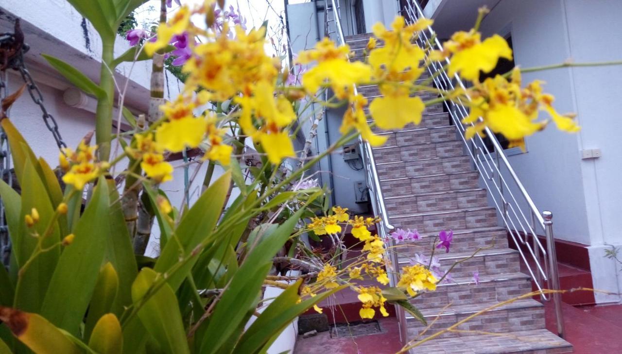 Cacao Hotel Katunayaka Luaran gambar